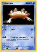 Cute Axolotl