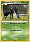 border collie