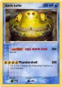 dumb turtle