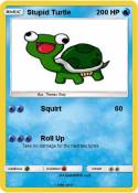 Stupid Turtle