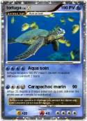tortuga