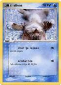 piti chattons