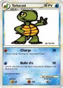 Tortucool