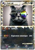 Cool cat