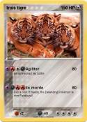 trois tigre 