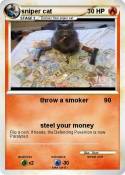 sniper cat