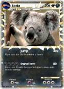 koala