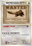 WANTED bowser