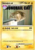 monairal cat