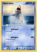 requin blanc