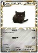 ONYX THE CAT!