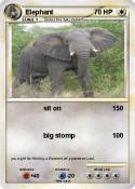 Elephant