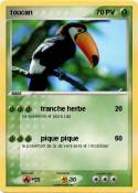 toucan