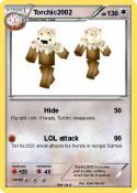 Torchic2002