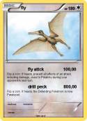 fly