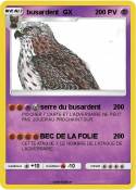 busardent GX