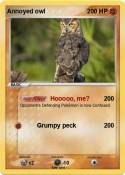 Annoyed owl