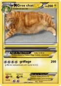 Gros chat