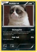 Grumpy cat