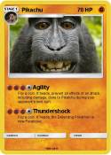 Monkey