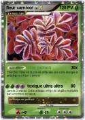 fleur carnivor