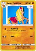 Sugar The Horse