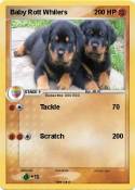 Baby Rott
