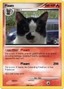 Flaam