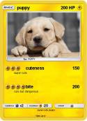 puppy