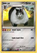 tank cat