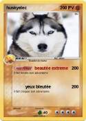 huskyelec