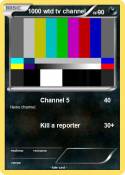 1000 wtd tv