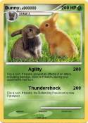Bunny
