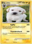 Dog