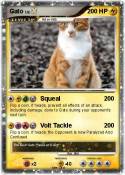 Gato
