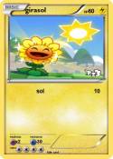 girasol