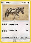 Zebra