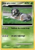 loup gris crois