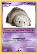 Fat Ferret