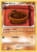 Flower Pot