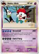 Wakko Wish