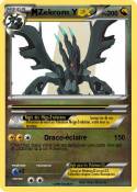 Zekrom Y