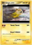 Bird Doge