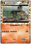 ecureil