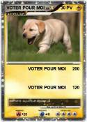 VOTER POUR MOI