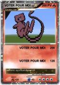 VOTER POUR MOI