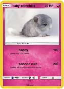 baby chinchilla