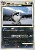 husky ex