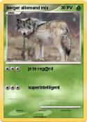 berger allemand