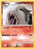 kitty boy 21548